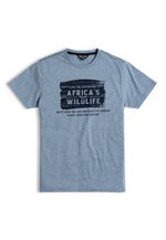 v-422143s010431-5-category-product-image