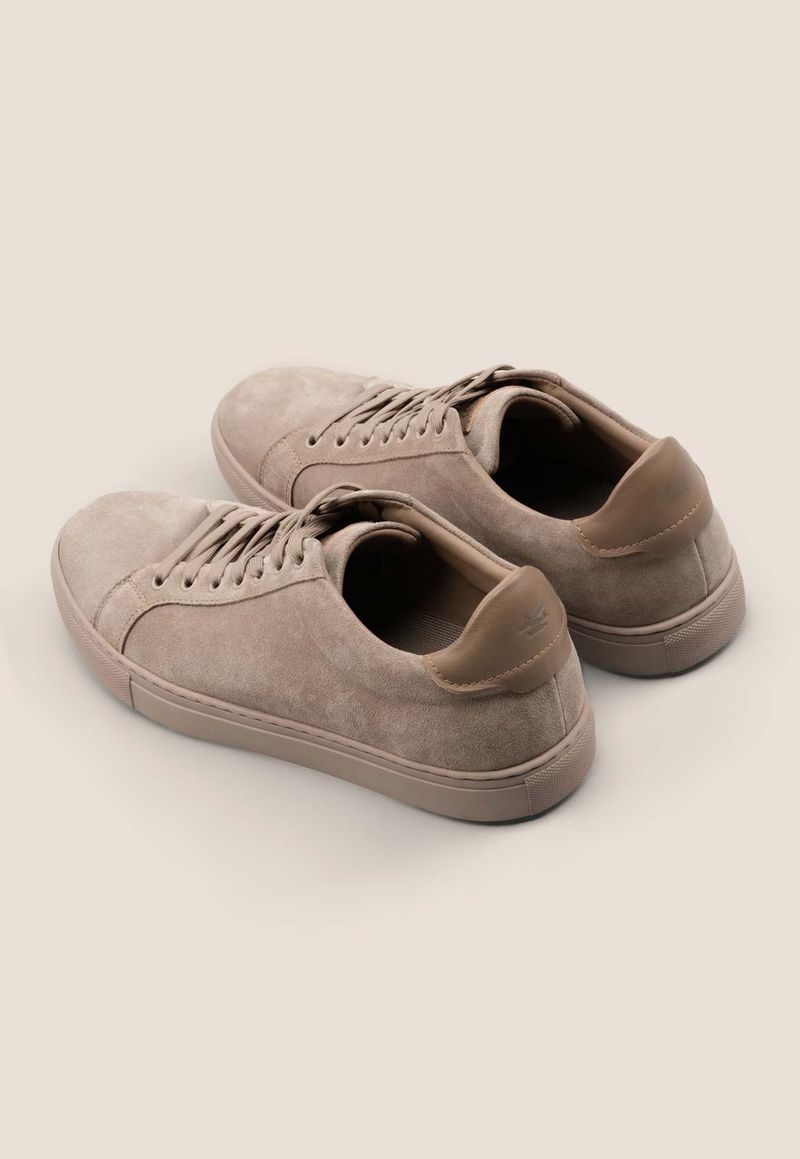 7204s260336-004